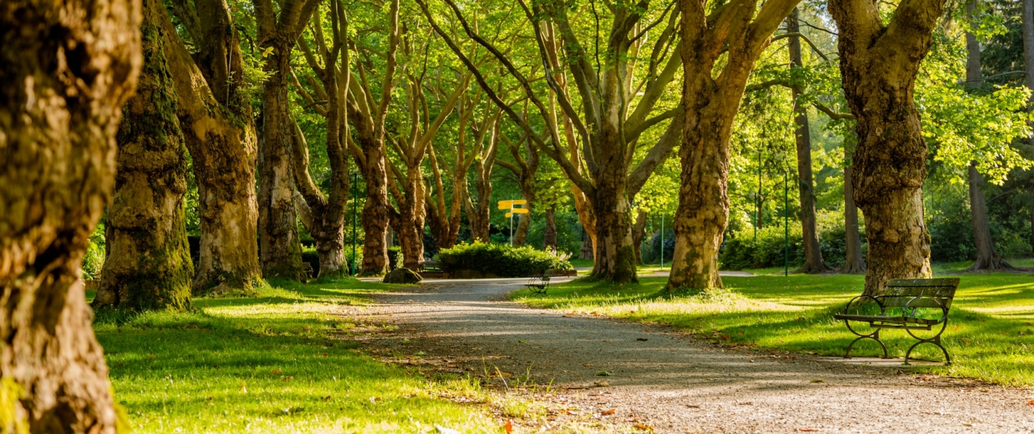 mike-benna-SBiVq9eWEtQ-unsplash (1)